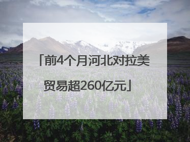 前4个月河北对拉美贸易超260亿元